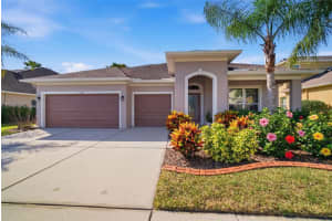 31520 Holcomb Pass, WESLEY CHAPEL