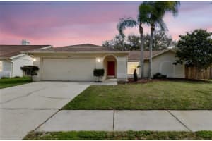 11903 Steppingstone Blvd, TAMPA