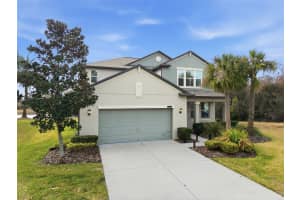 8553 Savory Walk Dr, LAND O LAKES