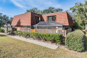 2634 10th Ct, PALM HARBOR 2634 10th Ct, PALM HARBOR