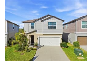 35132 Ackley Trce, ZEPHYRHILLS