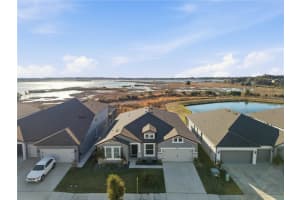 9539 Ibis Grove Blvd, WESLEY CHAPEL