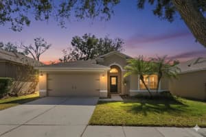 1129 Emerald Hill Way, VALRICO
