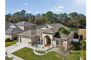 2328 Brinley Dr, TRINITY