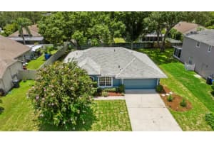 1709 Powder Ridge Dr, VALRICO