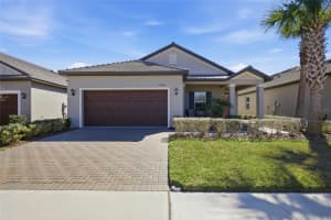 16816 Shell Bay Dr, LAND O LAKES
