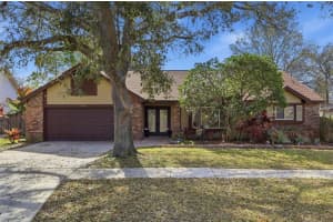 3488 Ridge Blvd, PALM HARBOR 3488 Ridge Blvd, PALM HARBOR