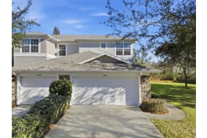 19251 Stone Hedge Dr, TAMPA