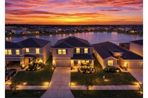 166 Bright Ibis Ave, APOLLO BEACH