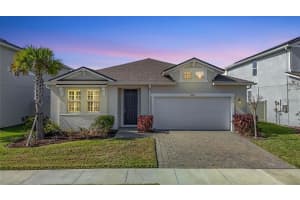 2477 Water Willow Dr, LUTZ