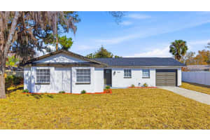 1008 Hallwood Loop, BRANDON