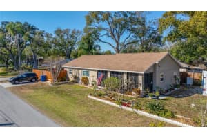 6425 S Adelia Ave, TAMPA