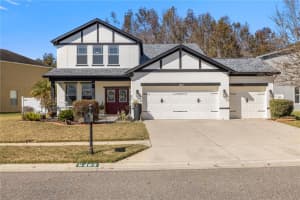 5463 Shasta Daisy Pl, LAND O LAKES