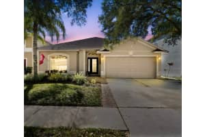 18922 Fishermans Bend Dr, LUTZ 18922 Fishermans Bend Dr, LUTZ