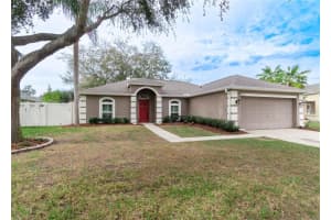 14833 Redcliff Dr, TAMPA