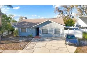10922 Tailfeather Ct, TAMPA 10922 Tailfeather Ct, TAMPA