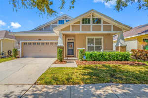 18108 Fall Creek Dr, LUTZ