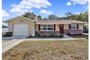 3485 Pine St, DUNEDIN