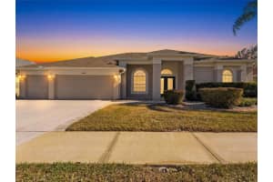 5446 Spectacular Bid Dr, WESLEY CHAPEL