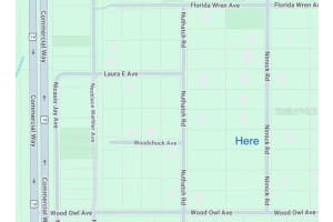 17467 Nimick Rd, WEEKI WACHEE