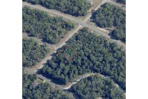 6235 N Compass Way, DUNNELLON