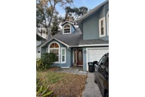 3031 Pine Forest Dr, PALM HARBOR