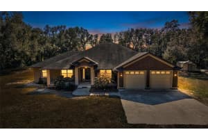 1923 Cr 738, WEBSTER 1923 Cr 738, WEBSTER