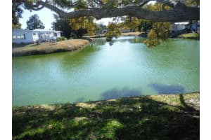 172 Clubview Dr #5, SAFETY HARBOR