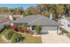 2320 Citrus Hill Rd, PALM HARBOR 2320 Citrus Hill Rd, PALM HARBOR