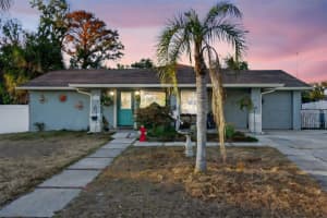 6724 Amundson St, TAMPA