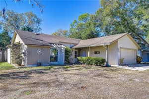 15310 Lazy Lake Pl, TAMPA