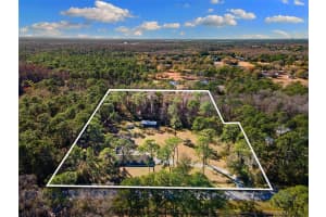 1054 Ranch Rd, TARPON SPRINGS