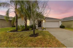 4904 Babbling Brook Ln, WIMAUMA
