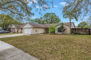 4806 Country Hills Dr, TAMPA
