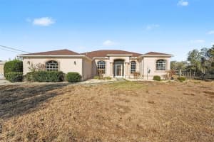 16031 Donney Moor Ln, SPRING HILL