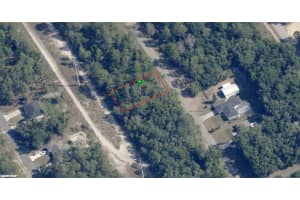 9228 N Cortlandt Dr, CITRUS SPRINGS