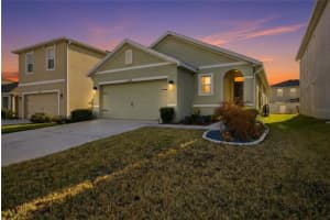 8204 Pelican Reed Cir, WESLEY CHAPEL 8204 Pelican Reed Cir, WESLEY CHAPEL