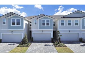 4104 Snail Cork Pl, LUTZ 4104 Snail Cork Pl, LUTZ