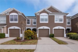 10132 Pink Palmata Ct, RIVERVIEW 10132 Pink Palmata Ct, RIVERVIEW