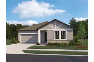 5918 Fresh Flora Drive, WIMAUMA