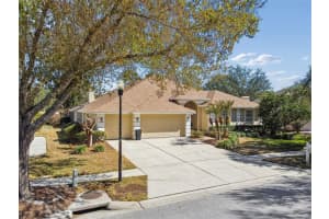 17503 Edinburgh Dr, TAMPA 17503 Edinburgh Dr, TAMPA