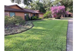 6709 Peachtree Dr, TEMPLE TERRACE