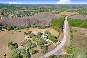Tobacco Rd, LUTZ