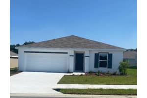 10306 Se 161st Lane Rd, SUMMERFIELD