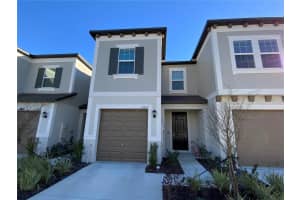 10823 Fort White Ct, TAMPA