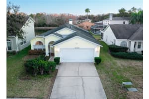 27350 New Smyrna Dr, WESLEY CHAPEL