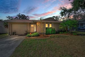 2914 Cypress Green Dr, PALM HARBOR 2914 Cypress Green Dr, PALM HARBOR