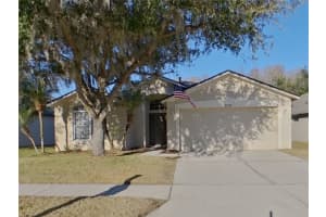 , WESLEY CHAPEL , WESLEY CHAPEL