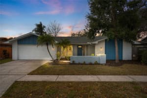 3442 Glossy Ibis Ct, PALM HARBOR