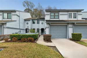 4108 Brentwood Park Cir, TAMPA